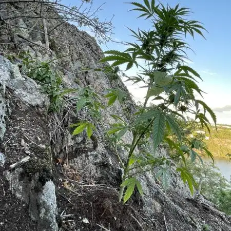 Rocky Outdoor Project part 2