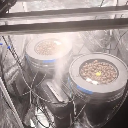 my first grow