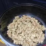 Jealousy Auto Zamnesia