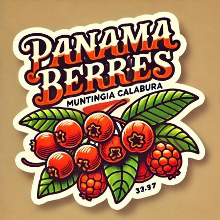 Panama Berrès Mephisto Genetics