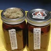 Puppy Love Mephisto Genetics