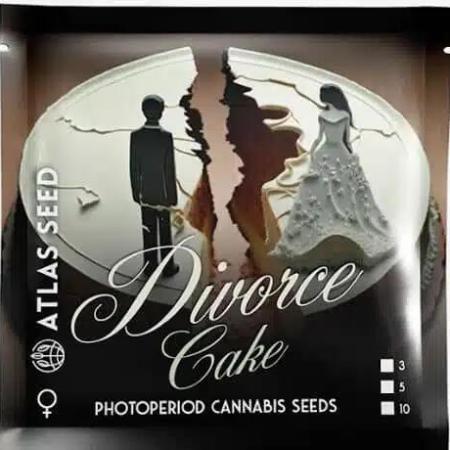 Divorce Cake RDWC
