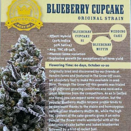Blueberry cupcake RDWC