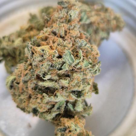 RDWC GRAPE OG 1st photo grow