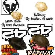 Papaya sherbet ( DWC )