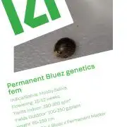 Permanent Bluez RDWC