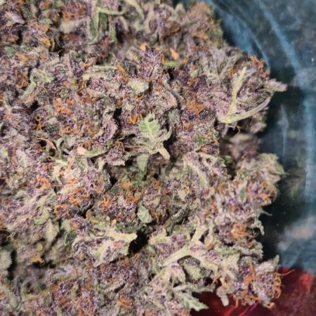 Second grow Fastbuds Mixed auto #3#4