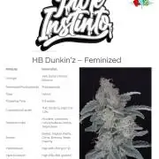 HB Dunkin'z ( RDWC )