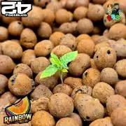 Rainbow Melon ( RDWC )