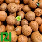 ( IZI Comp )Permanent Bluez RDWC