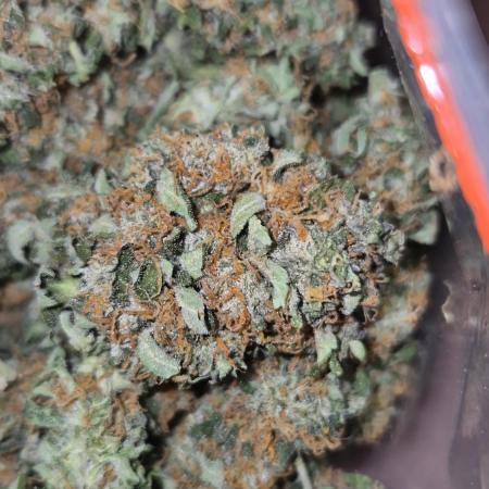 Fifth Fastbuds Mixed auto #9