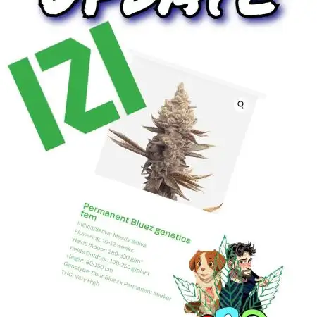 Permanent Bluez RDWC