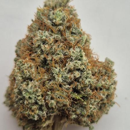 Orange Bud - Dutch Passion