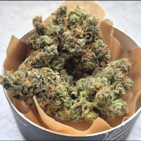 Hyperion F1 Auto RQS