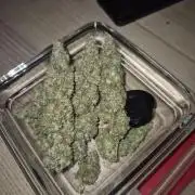 Ministry of Cannabis - God's Glue (fem.)