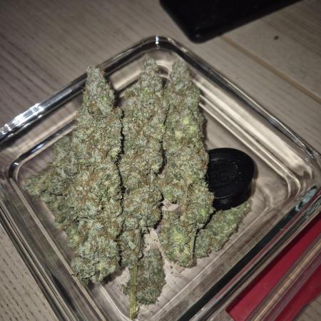 Ministry of Cannabis - God's Glue (fem.)