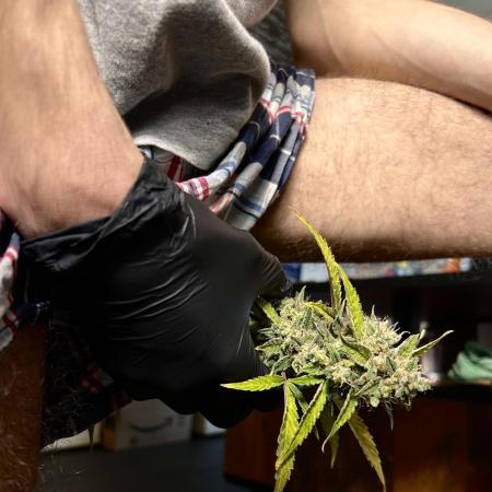 FastBuds Boudoir Contest