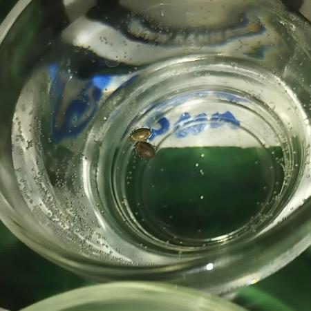 Coco super mix Auto attempt 1