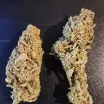 Tiger Auto- Canucks Bruce Banner Auto