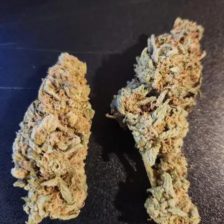 Tiger Auto- Canucks Bruce Banner Auto