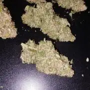 Sticky Broccoli Auto