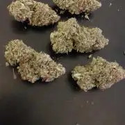 Sticky Broccoli Auto