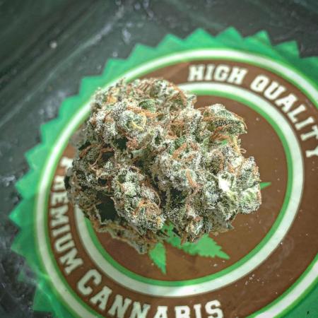 GMO Auto - Barney’s Farm