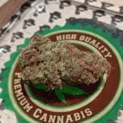 Super Skunk (RoadKill pheno)