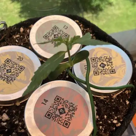 Testgrow US Premium Auto