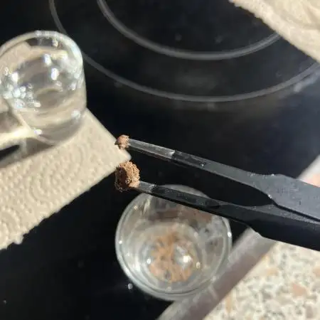 Testgrow US Premium Auto