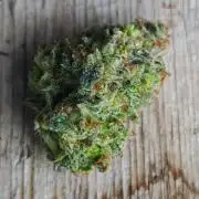 Königlicher CBD Grow