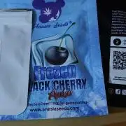 Primavera di ciliegia e nera