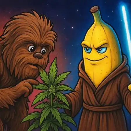 Bananakin Skywalker, 1 of 500 in Europe