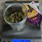 Passion Side Grow