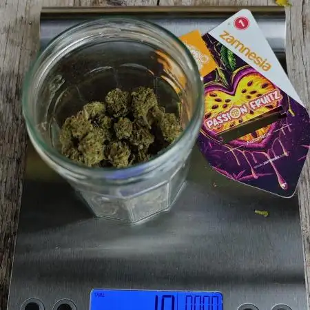 Passion Side Grow