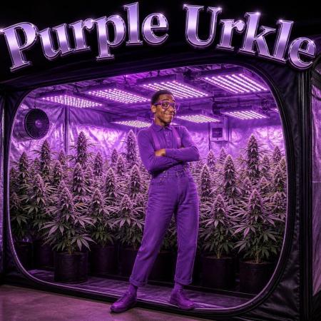Lila Laune Grow (Sidegrow 2)