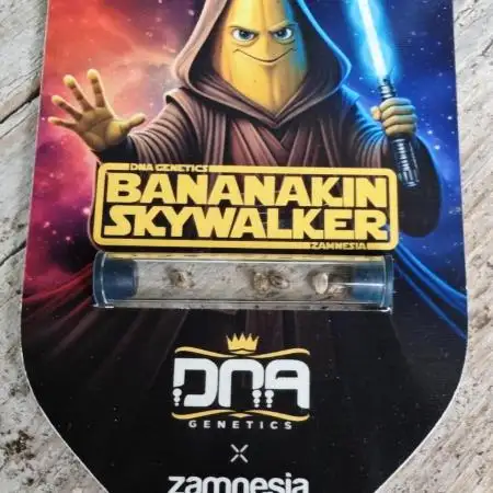 Bananakin Skywalker