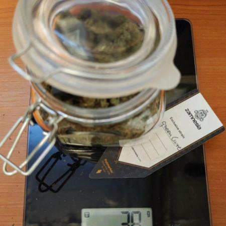 CBD CBD CBD