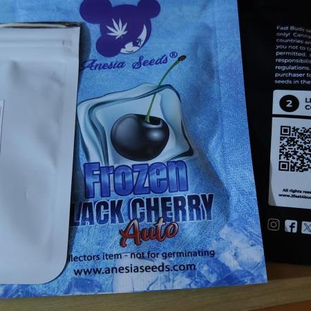 Primavera di ciliegia e nera