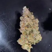 Grape Gas S1