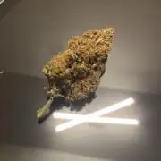 🍋🍒🍪Lemon Cherry Cookies Auto FB