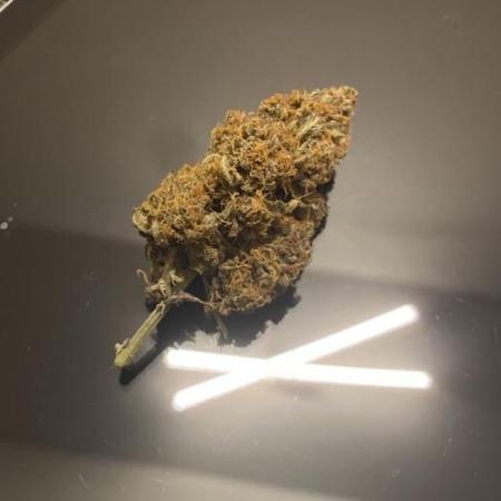 🍋🍒🍪Lemon Cherry Cookies Auto FB