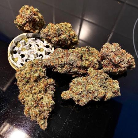 Gorilla coockies Pheno winner run