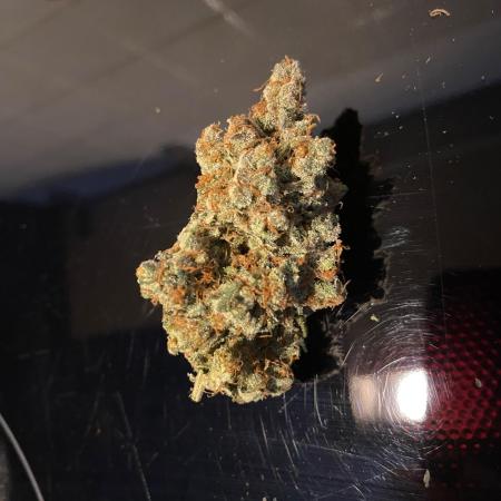 Gorilla coockies Pheno winner run