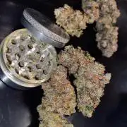 Grape Gas S1