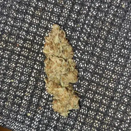 1.0 Pound Cake Auto Fast Buds LST