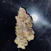 Grape Gas S1