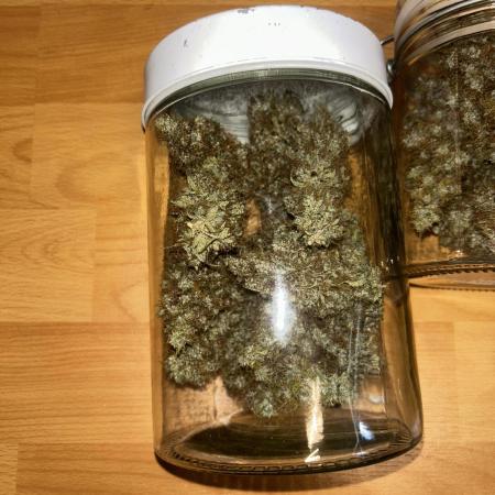 1.0 Sticky Orange XXL Auto 1P1T LST