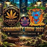 SweetSeeds X CCG