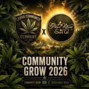 Greenhouse X CCG